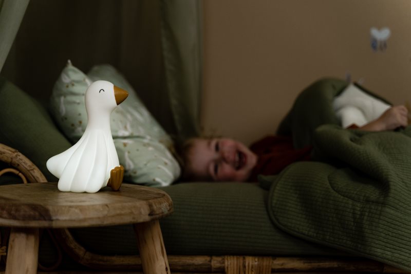 Luz de Presença - Little Goose