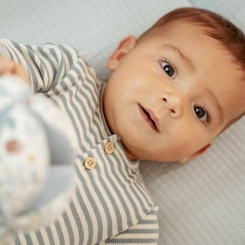 Camisola Manga Comprida - Blue Forest Friends - Stripe