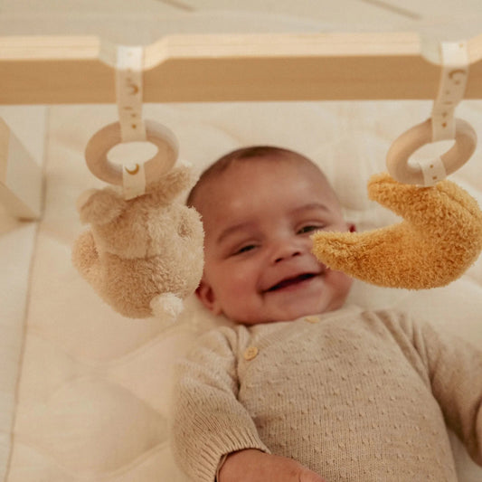 Ginásio de atividades - Newborn Naturals