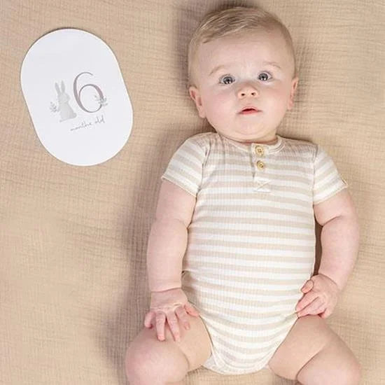 Cartões de Crescimento - Baby Bunny | Little Dutch