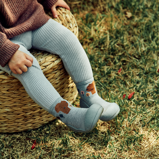 Attipas - Woodland Blue Squirrel - Outono/Inverno