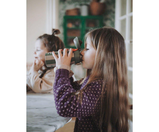 Garrafa Térmica de Aço - Crocodile | Noui Noui