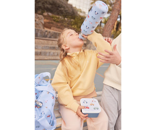 Garrafa de Aço com Forro - The Three Little Pigs