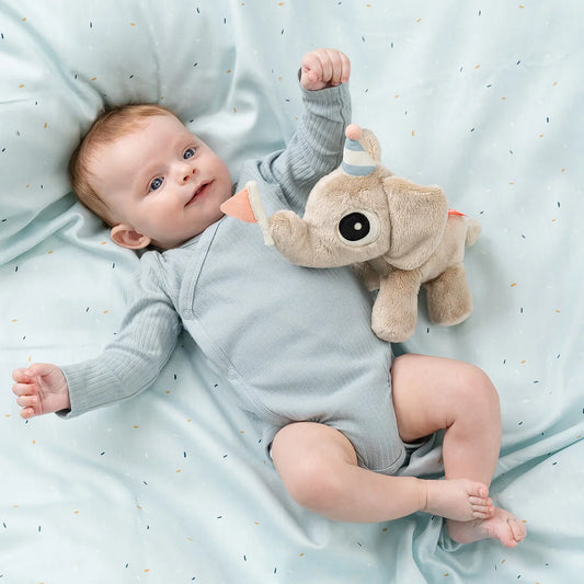 Peluche em Caixa Presente - Elphee.