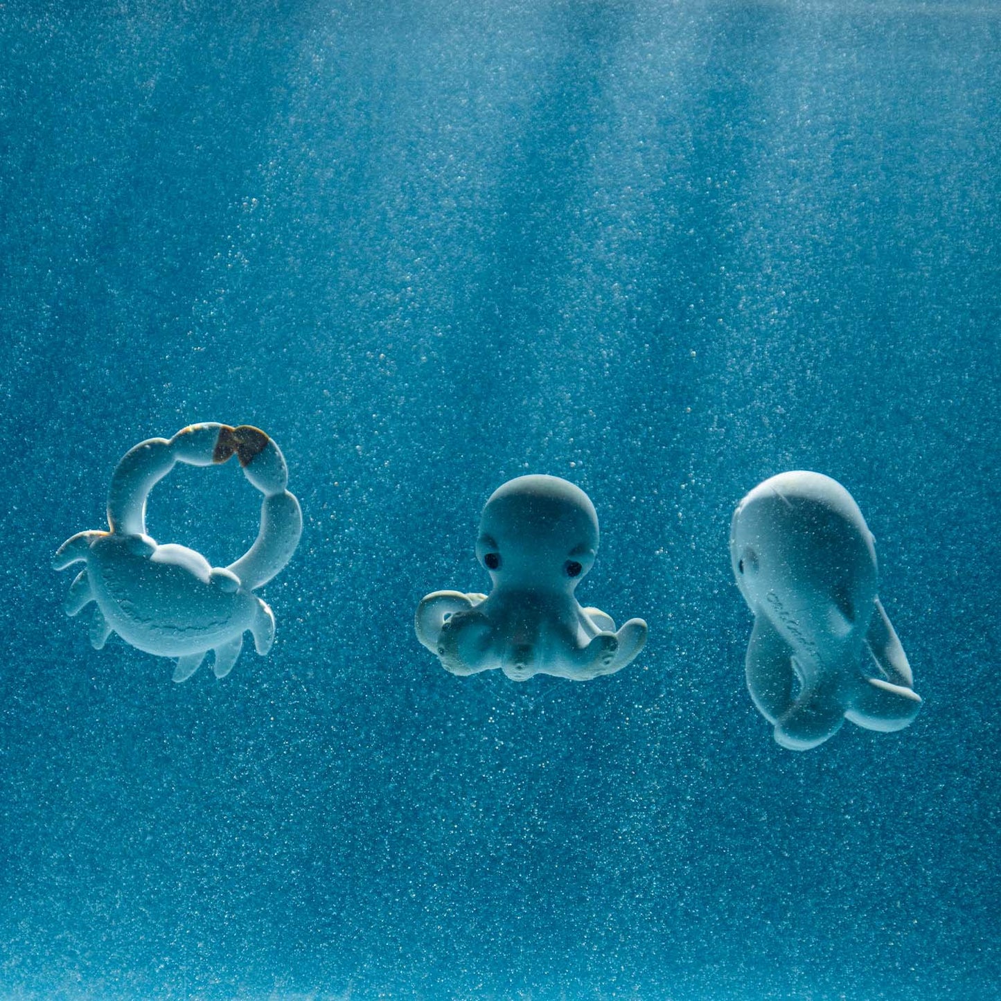 Brinquedo de Banho - Walter The Whale | Oli & Carol