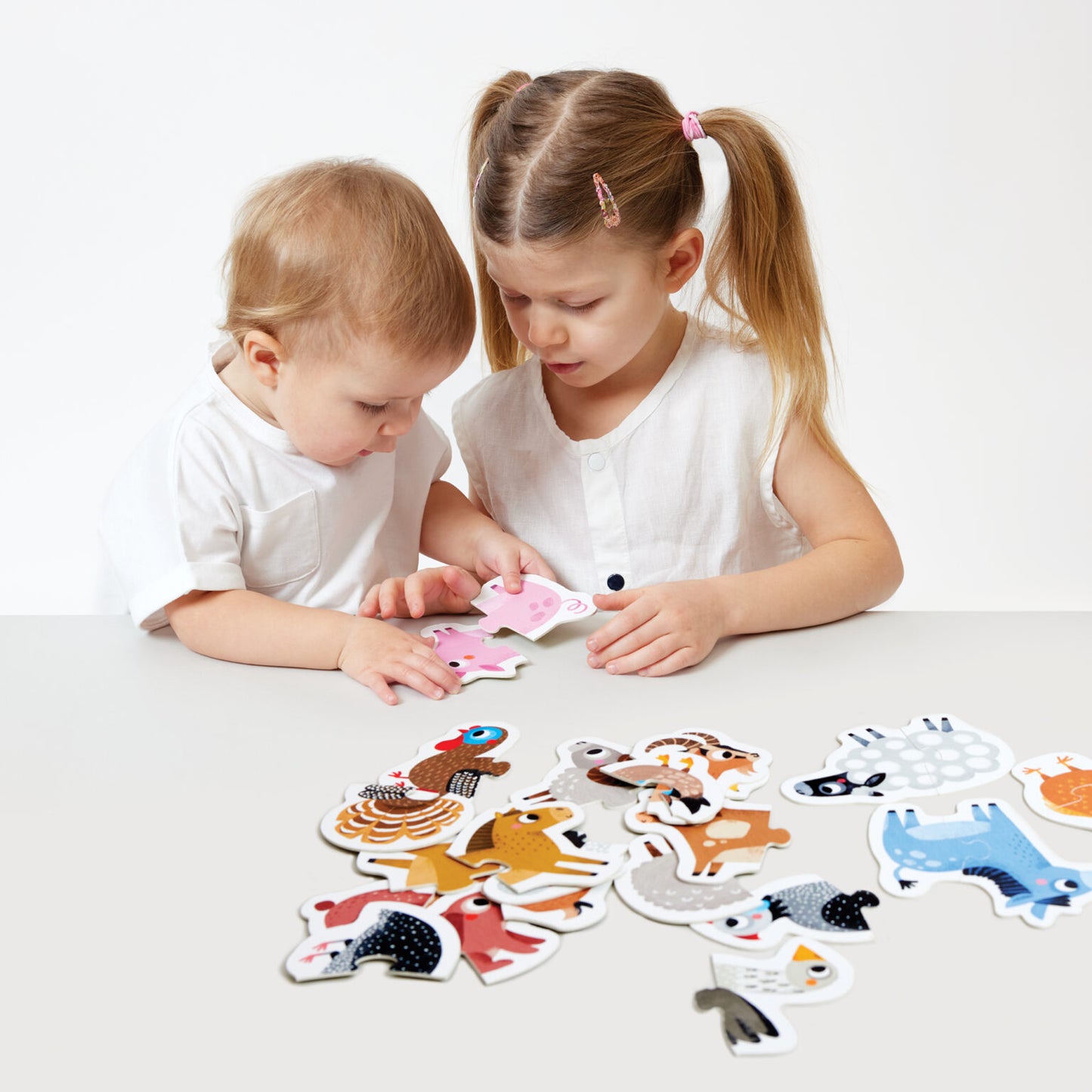 Puzzle Evolutivo - Animais da Quinta