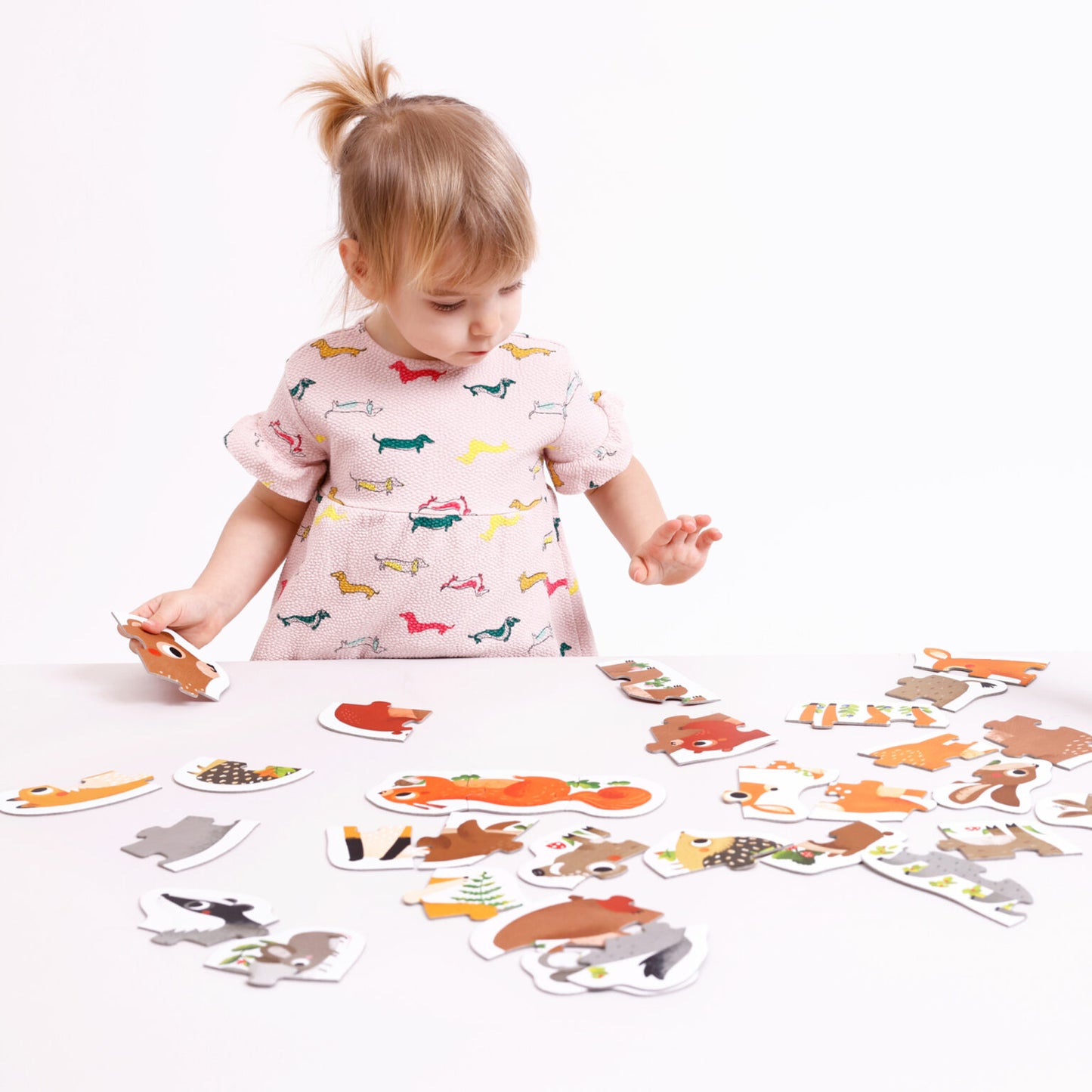 Puzzle Evolutivo - Animais da Floresta