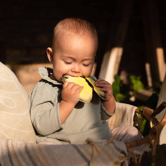 Mordedor - Katia The Butterfly | Oli & Carol