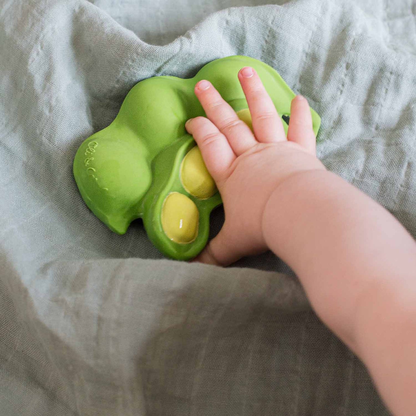 Mordedor - Keiko The Edamame | Oli & Carol