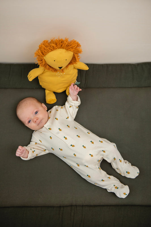 Peluche - Trixie - Mr. Lion.