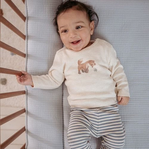 Camisola Manga Comprida - Sand Forest Friends - Little Fox