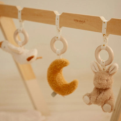 Ginásio de atividades - Newborn Naturals