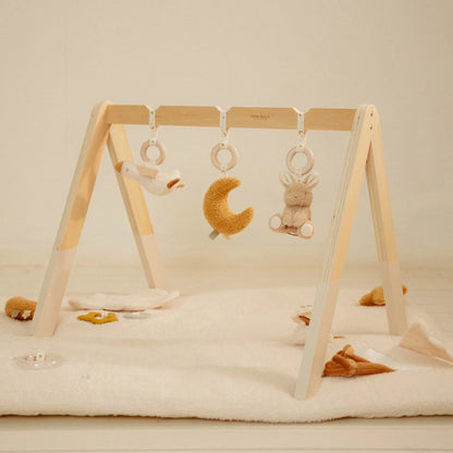 Ginásio de atividades - Newborn Naturals