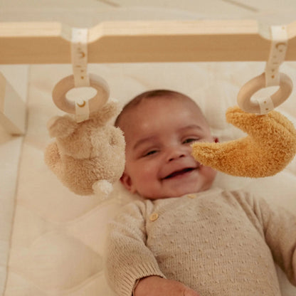 Ginásio de atividades - Newborn Naturals