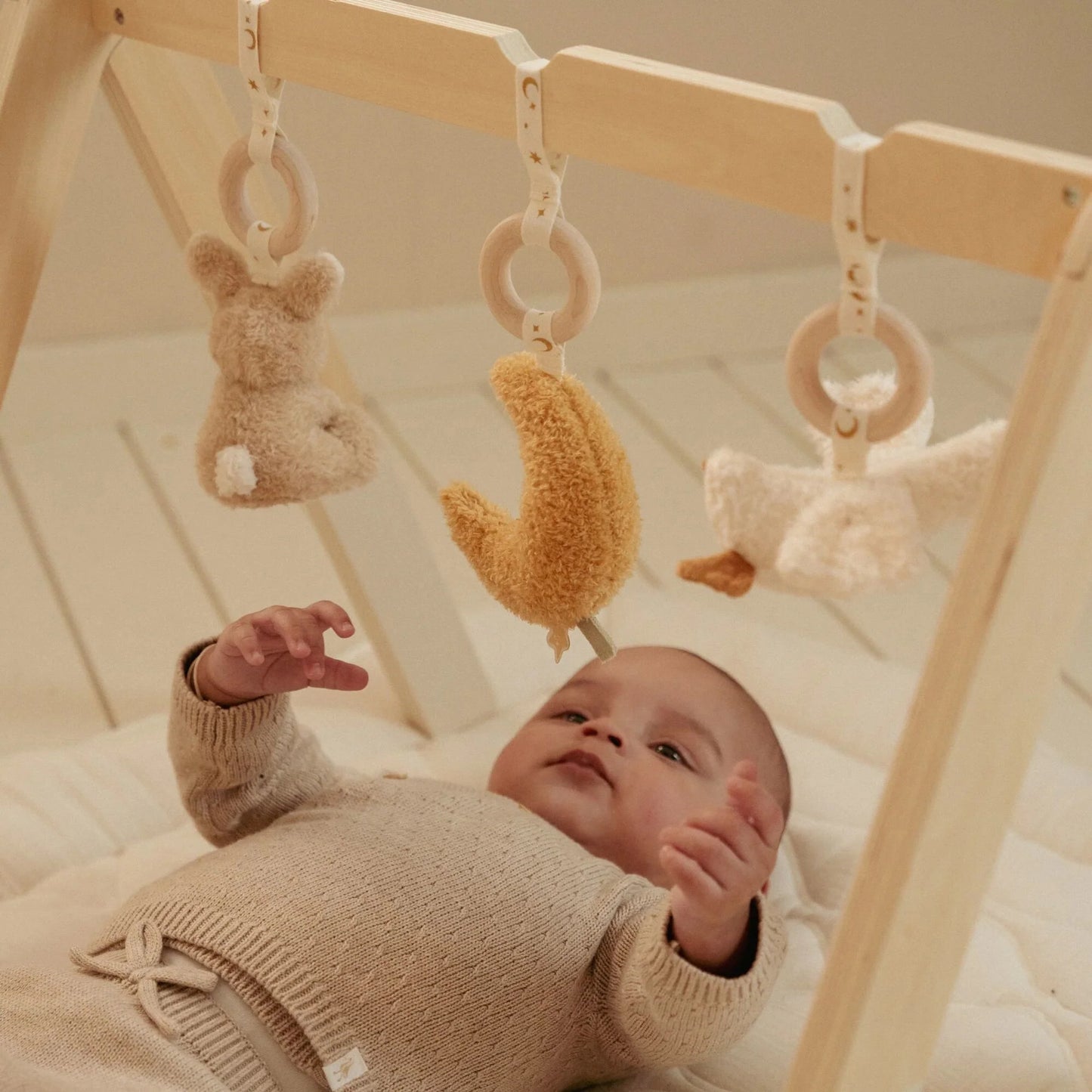 Ginásio de atividades - Newborn Naturals