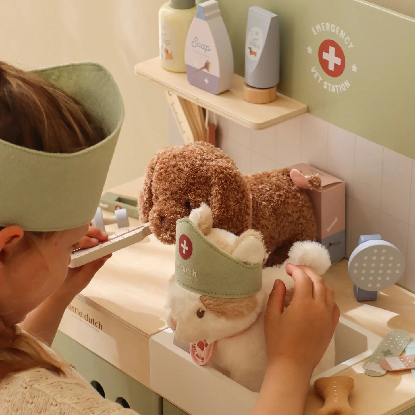 Clínica Veterinária | Little Dutch