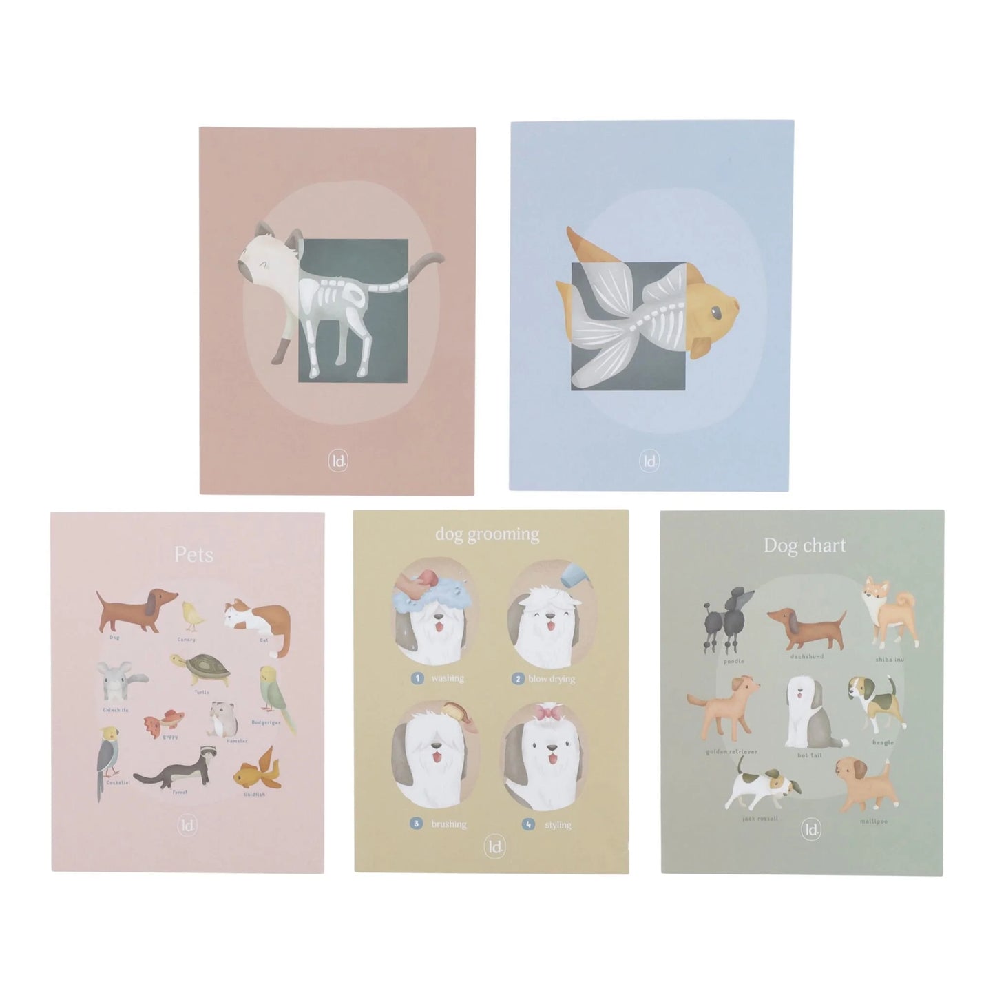 Clínica Veterinária | Little Dutch