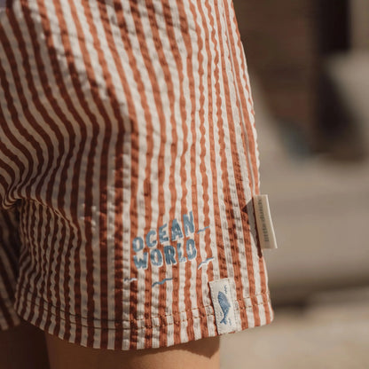 Calções de Praia Ocean Brown Stripes | Little Dutch