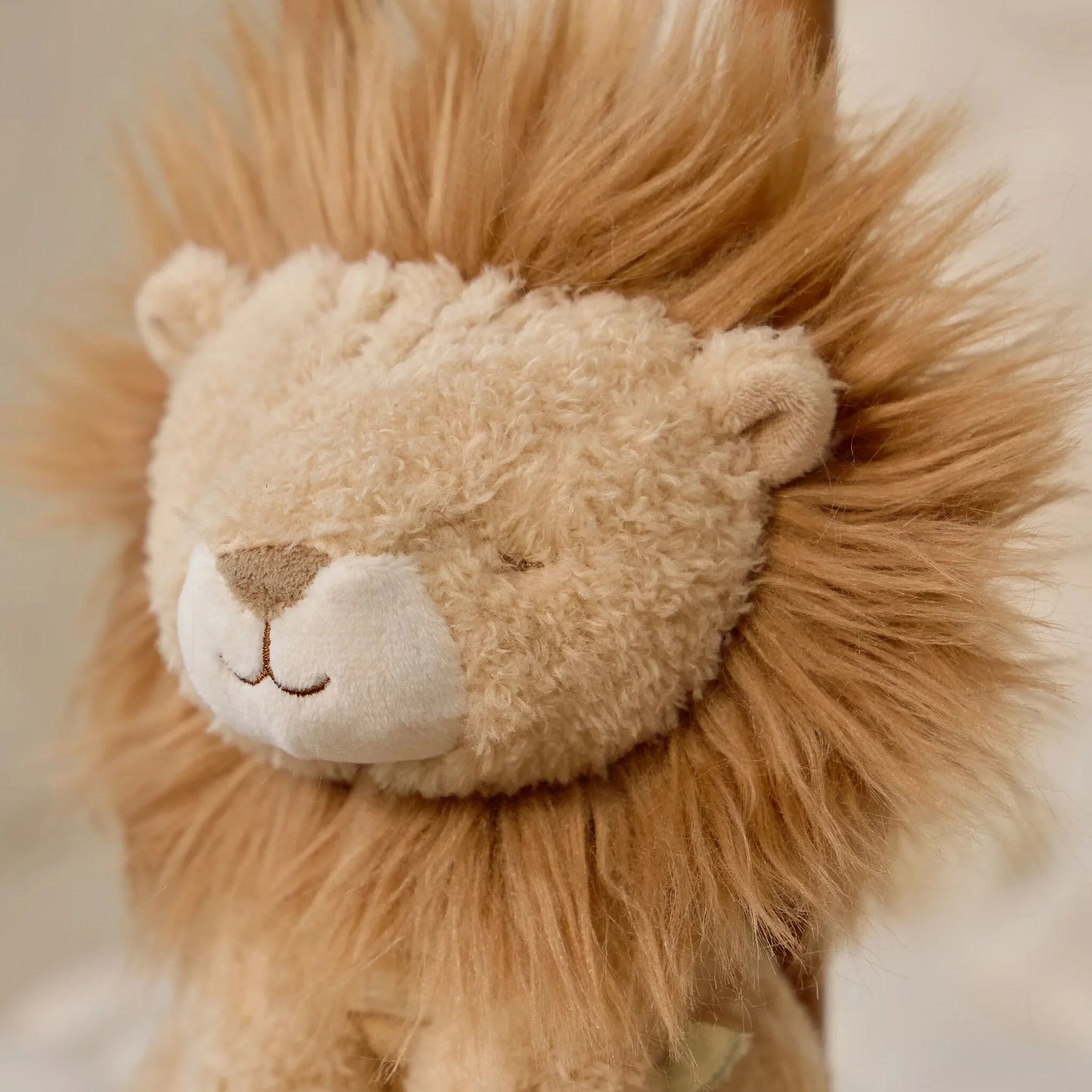Caixa de Música Leão - Safari Friends | Little Dutch