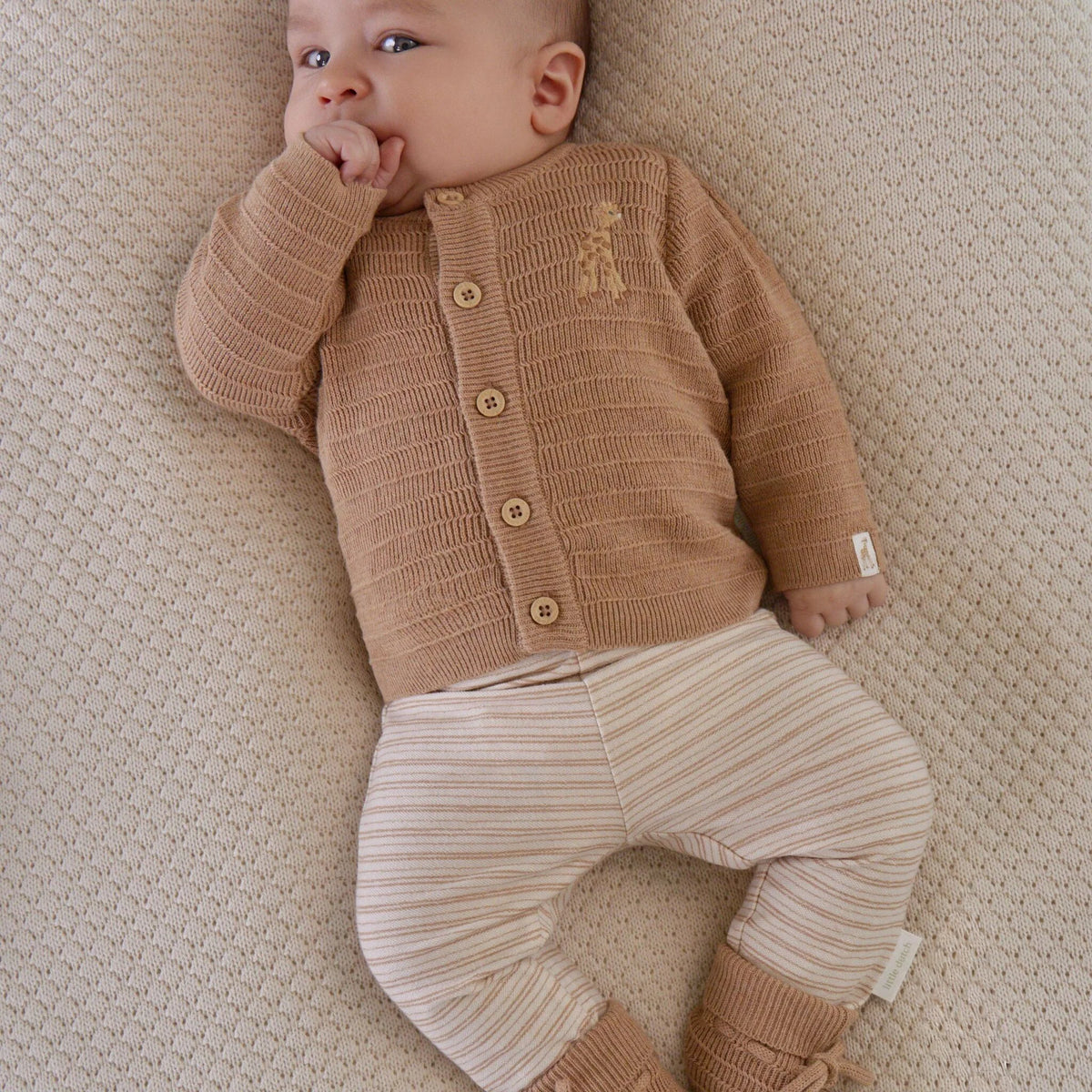 Calças - Safari Friends | Little Safari Stripe Soft Tan.