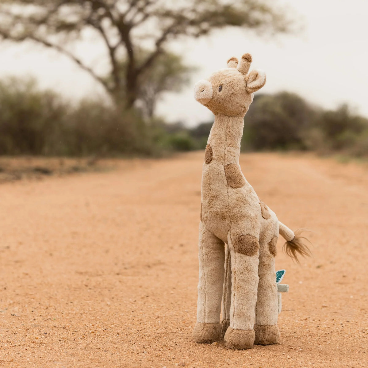 Peluche Girafa Safari Friends | Little Dutch