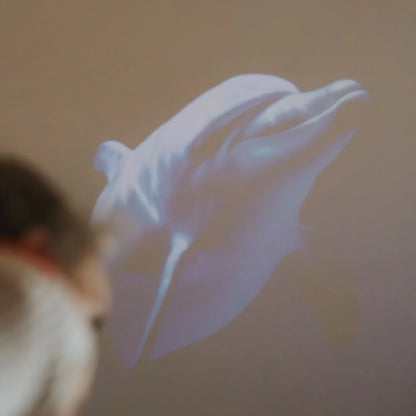 Oceanos Projetor Kidy | Kidywolf