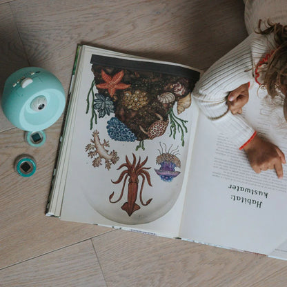 Oceanos Projetor Kidy | Kidywolf