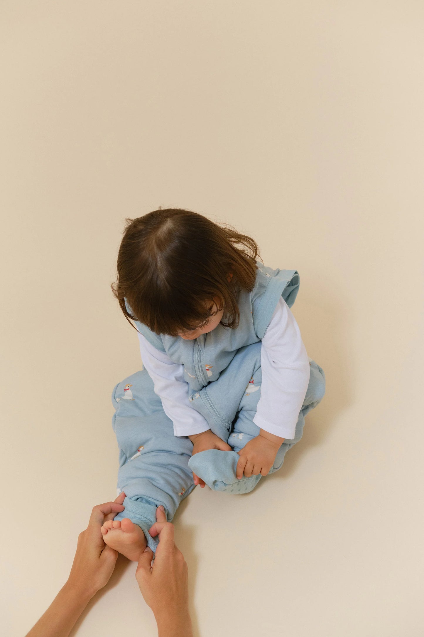 Saco de Dormir - Duck Family - TOG 2.5 | Molis & Co