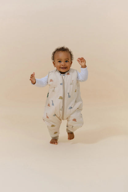 Saco de Dormir - Dinos - TOG 2.5 | Molis & Co