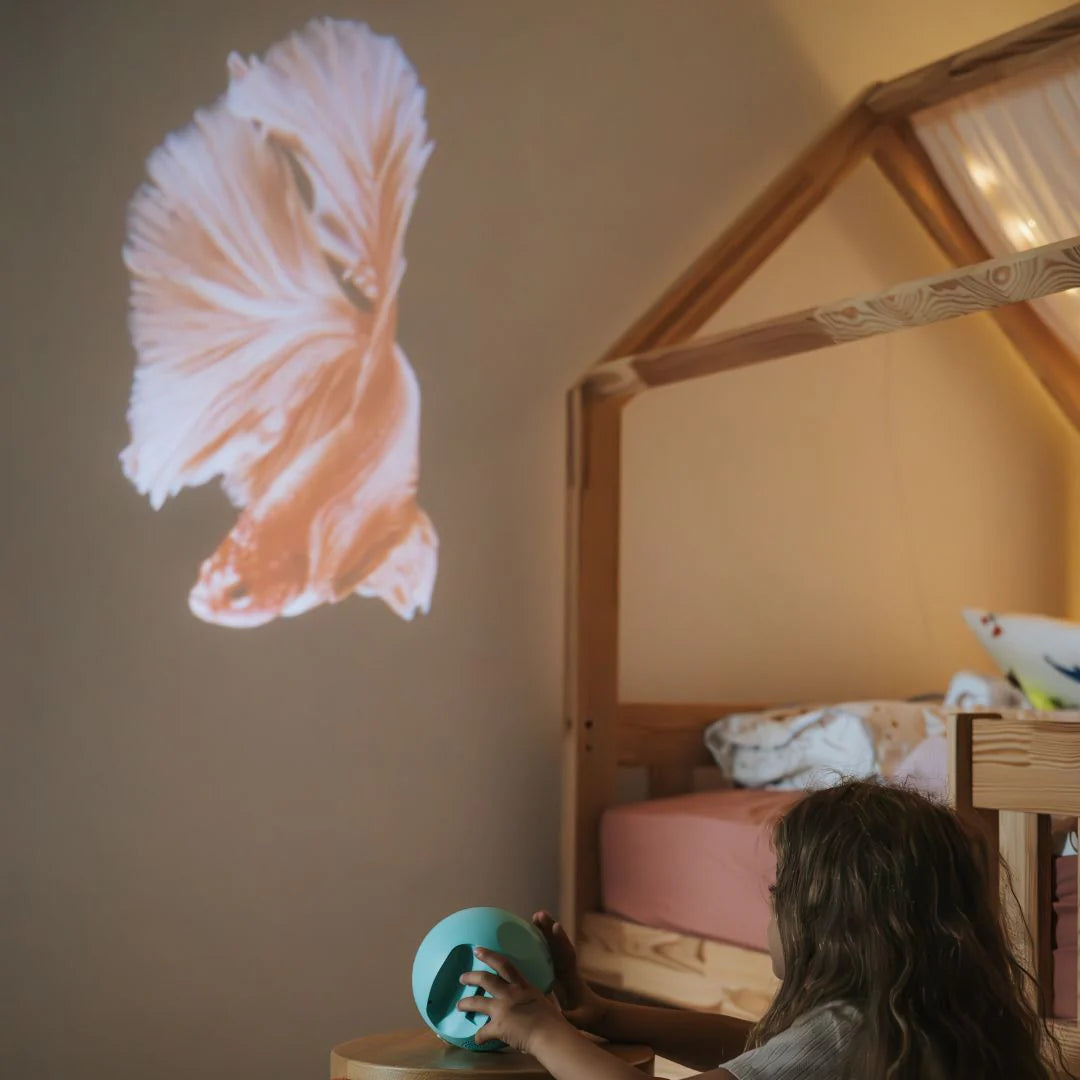 Oceanos Projetor Kidy | Kidywolf