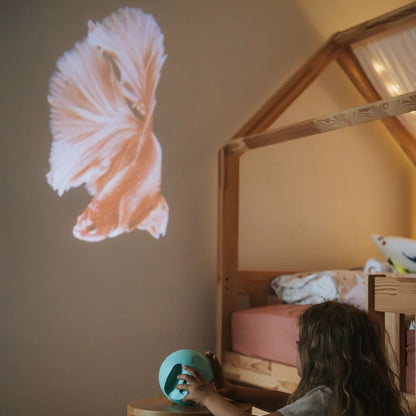 Oceanos Projetor Kidy | Kidywolf