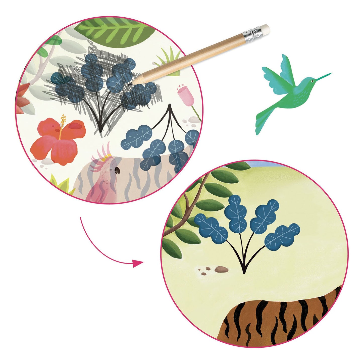 Atividade de Decalque - Cândido | Djeco