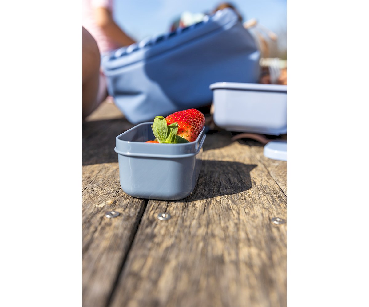 Snack Box Bento Grande - Stripes Blue