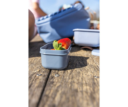 Snack Box Bento Grande - Stripes Blue