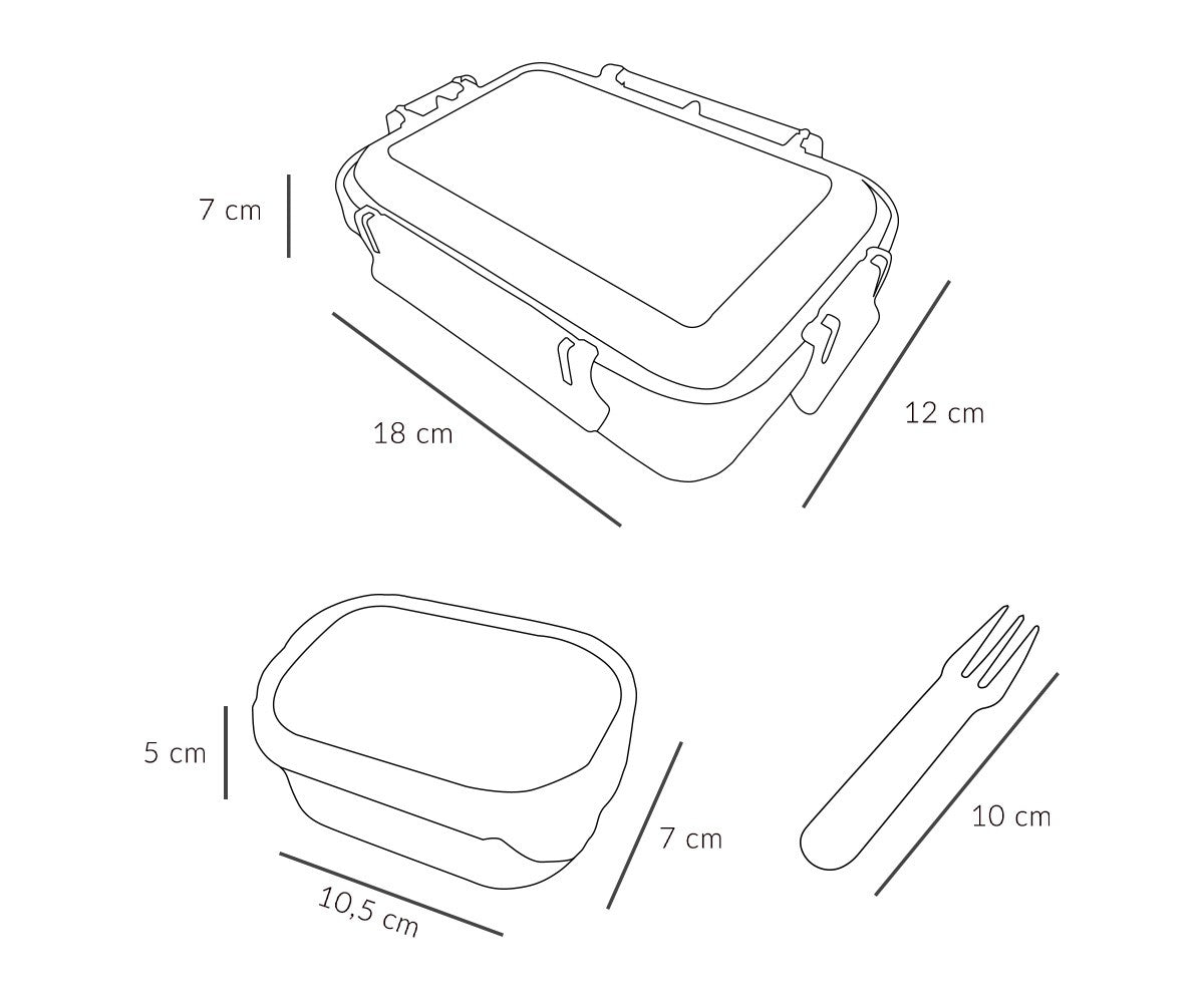 Snack Box Bento Grande - City Cars