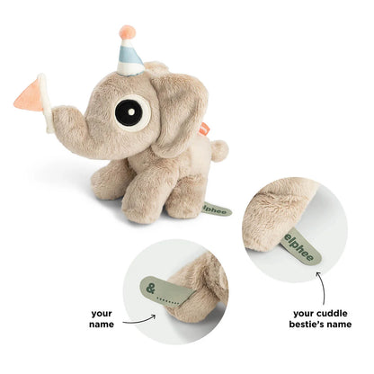 Peluche em Caixa Presente - Elphee.