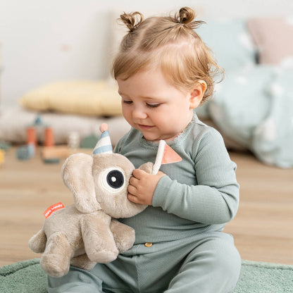 Peluche em Caixa Presente - Elphee.