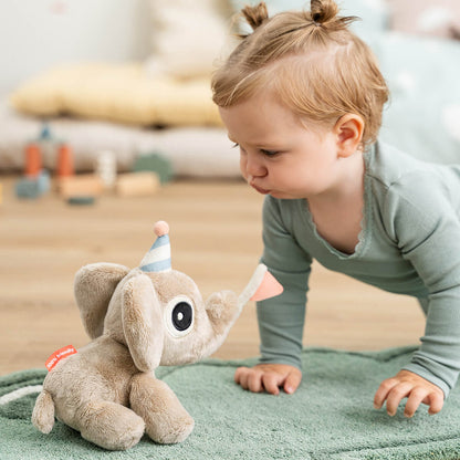 Peluche em Caixa Presente - Elphee.