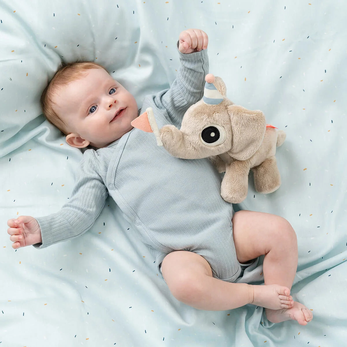 Peluche em Caixa Presente - Elphee.
