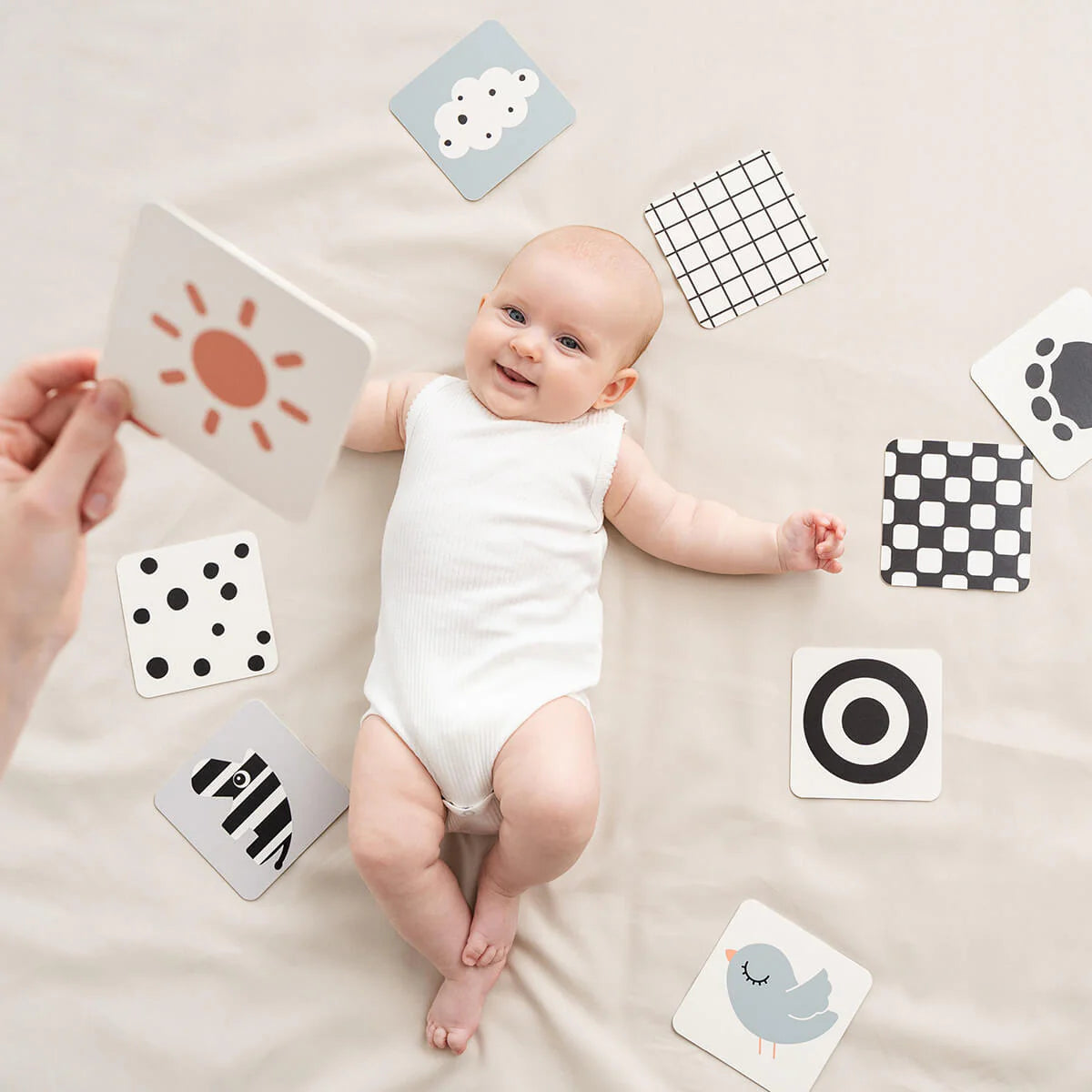 Cartões de Contraste Bebé - Deer Friend | Done by Deer