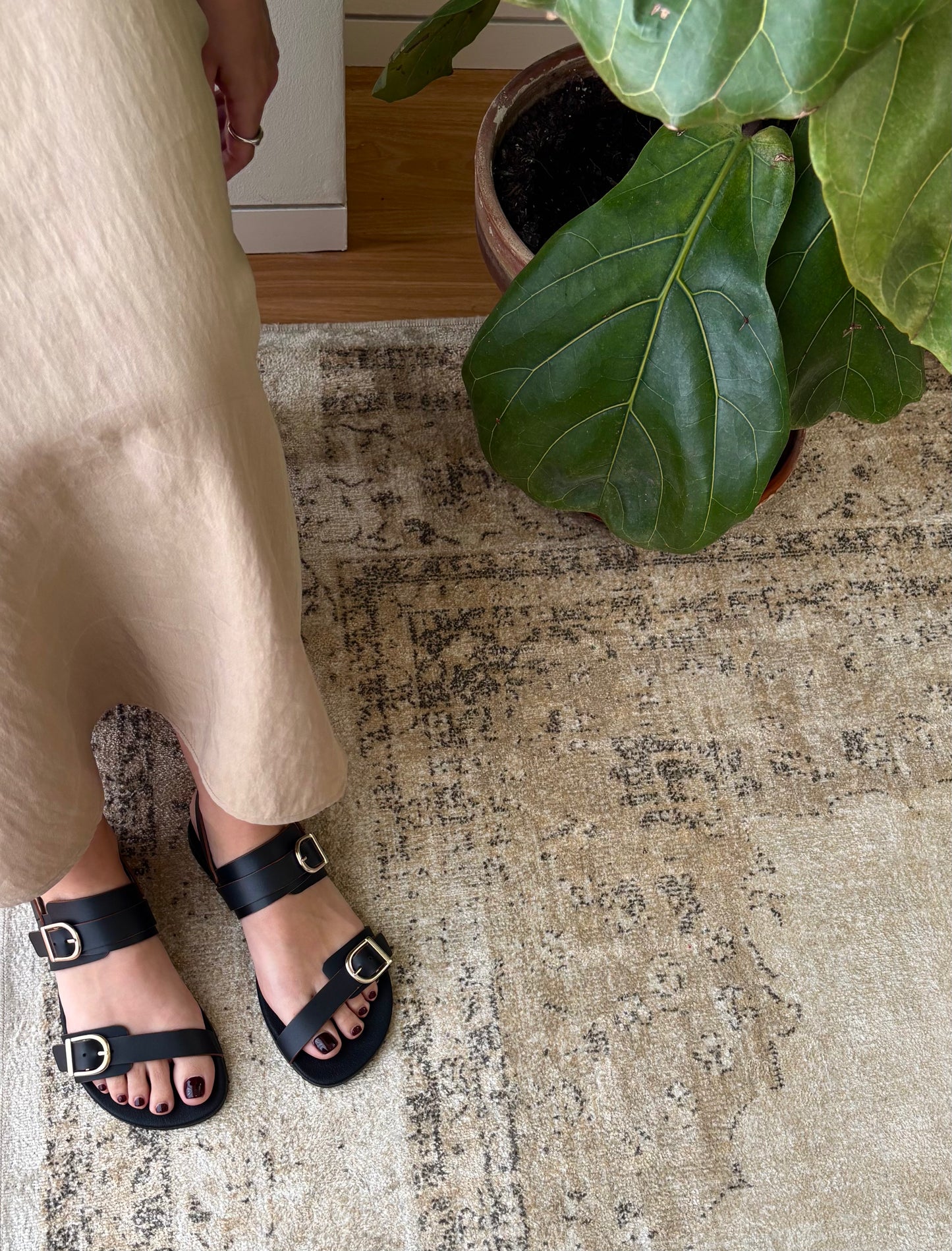 Sandálias Vaqueta - Preto | Coqueflex
