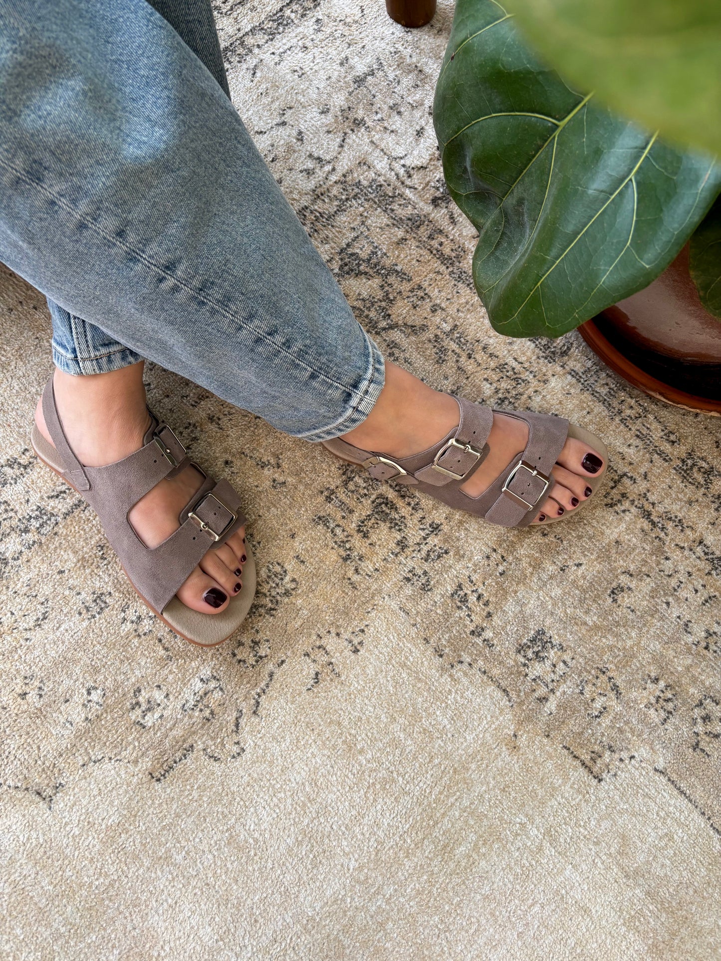 Sandálias Suede - Taupe | Coqueflex
