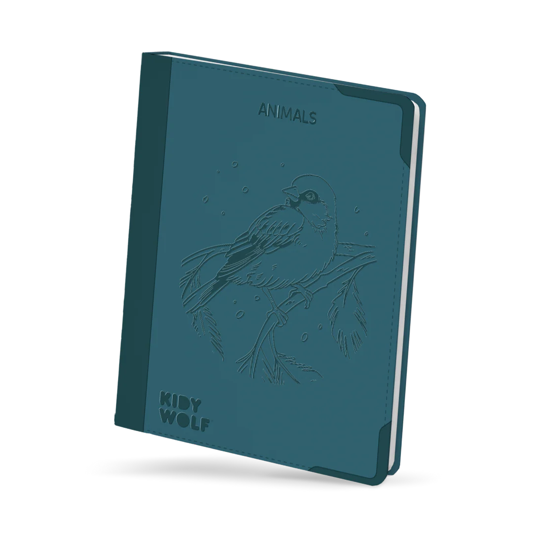 Tablet de Desenho C/ Luz - Kidydraw Pad 8+ | Kidywolf
