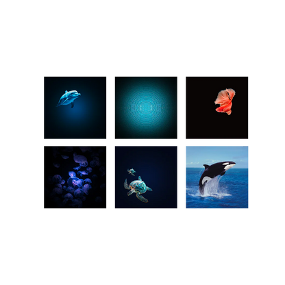 Oceanos Projetor Kidy | Kidywolf