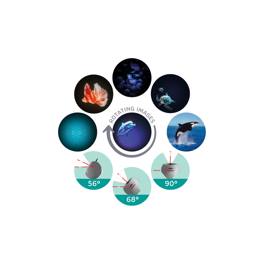 Oceanos Projetor Kidy | Kidywolf