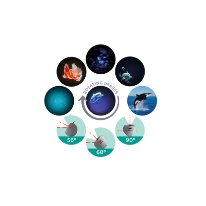 Oceanos Projetor Kidy | Kidywolf