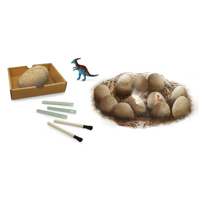 Buki - Dinossauro Ovos Escavação