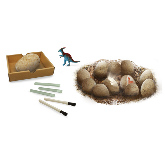 Buki - Dinossauro Ovos Escavação