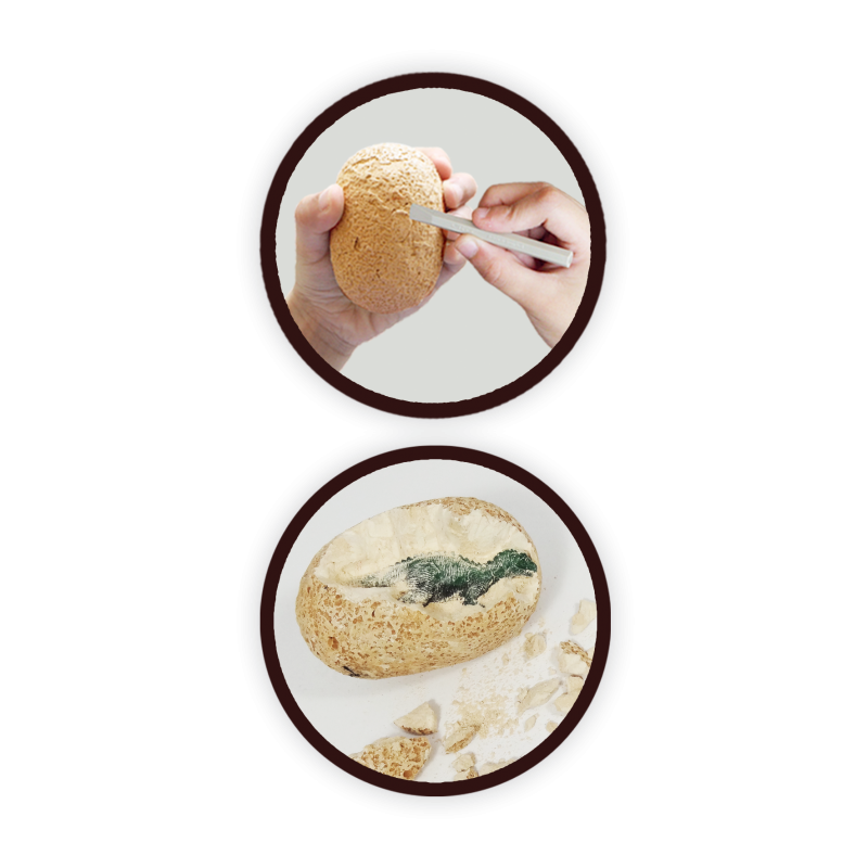 Buki - Dinossauro Ovos Escavação