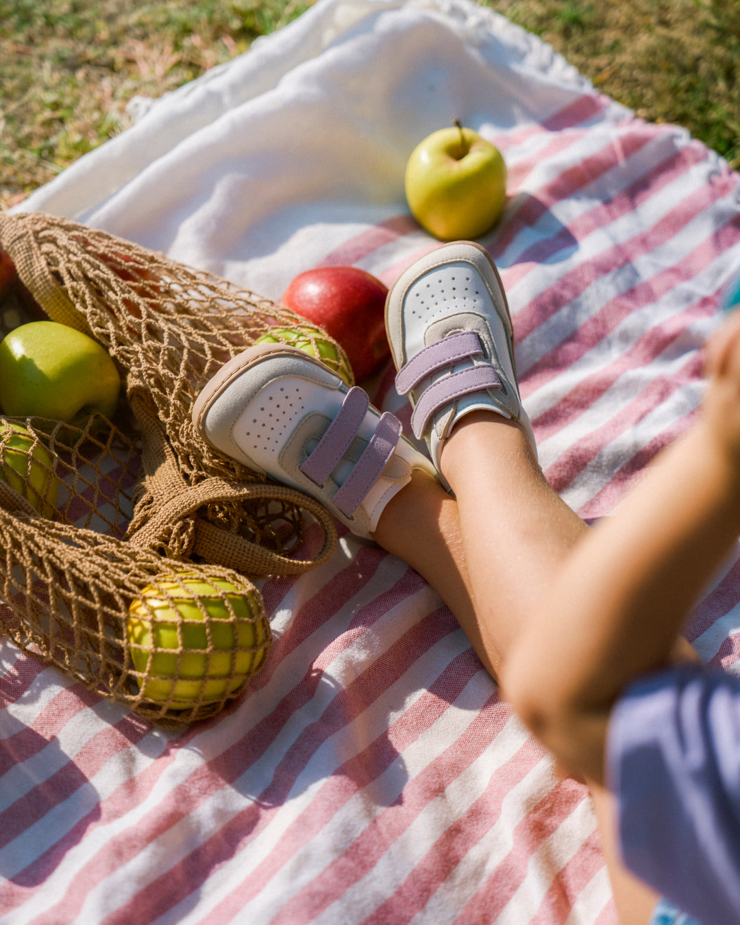 Muris - Petra Mini - Malva